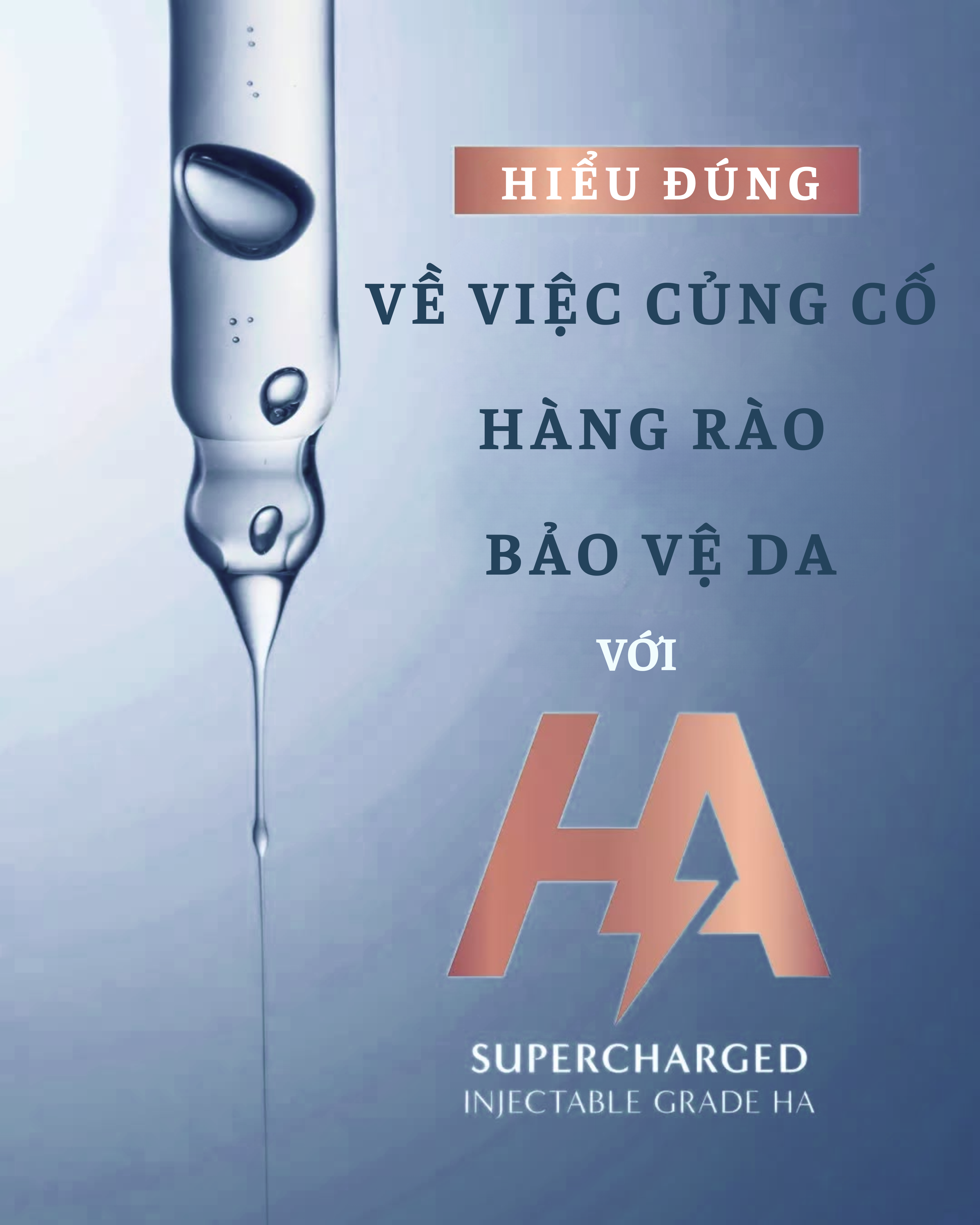 Hình ảnh 1