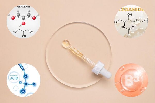 lua chon dua tren bang thanh phan